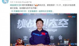 马蓉爆料王宝强借钱视频,揭秘娱乐圈背后的金钱纠葛